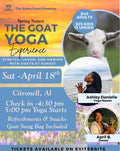 Goat Yoga